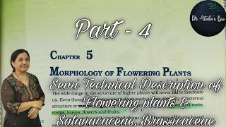 Morphology of flowering plants  Part 4  Class 11 Biology  NCERT NEET [upl. by Rasia]