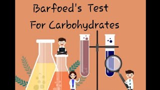 Barfoeds Test for Carbohydrates Biochemistry practicals for 1st year MBBS [upl. by Seitz984]