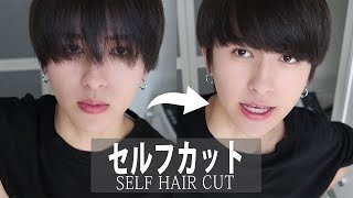 髪が伸びたので自分で切っちゃいました。Self Hair Cut✂【メンズセルフカット】 [upl. by Kho]