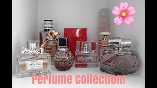 Perfume Collection Updated  All Of My Fragrances [upl. by Ravahs851]