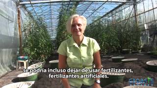 Jacqueline Baar fungi specialist to stimulate plantgrowth without fertilizers [upl. by Yentihw]