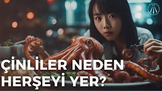 Çinliler Neden Her Şeyi Yerler  İzledikten Sonra Hak Vereceksiniz [upl. by Ethbun]