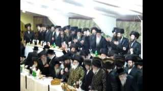 Viznitz Vien Bar Mitzvah Admorim Grand Entrance [upl. by Vite561]