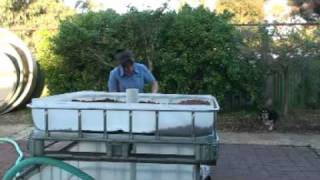 Building an ibc aquaponic system [upl. by Nilrev]