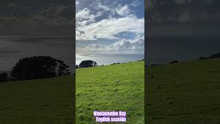 Woolacombe Bay British seaside at its best woolacombebay [upl. by Harv]