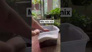 DIY Chunky Soil Mix The Lazy Method🪴4 Ingredients [upl. by Schechter]