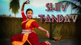 Shiv Tandav Stotram  Classical Dance Cover  Tandav  Dance With Ankita [upl. by Notnirt]