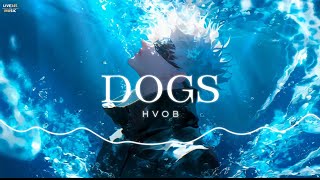 HVOB  Dogs Lyrics Remix Tiktok DJ抖音版  LIVE345MUSIC [upl. by Tidwell62]