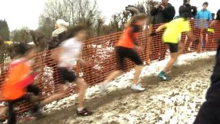 Régionaux de CrossCountry NPC  25 janvier 2015 [upl. by Eugine]