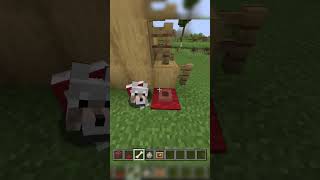 How to build a dog food bowl  Minecraft [upl. by Jecon]