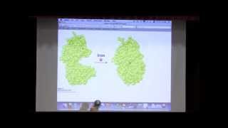 Kevin Aherns BiteSized Biochemistry 3 Protein Structure I [upl. by Ignace]