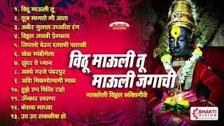 १३ विठ्ठल भक्तीगीते व अभंग  विठू माऊली तू माऊली जगाची  13 Vitthal Songs Marathi [upl. by Albertine673]