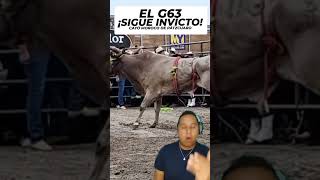 Moroco de Pátzcuaro VS G63 de Rancho el Aguaje bull jaripeo [upl. by Magas363]