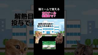 カロナール何錠まで？🏥カンゴ猫ミーム [upl. by Anilemrac]