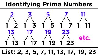 Divisibility Prime Numbers and Prime Factorization [upl. by Blinnie347]