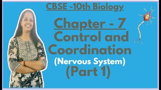 Ch7 CONTROL AND COORDINATIONPART 1 NERVOUS SYSTEM [upl. by Erej77]