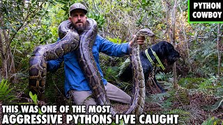 My Python Hunting Dog Was Almost Taken Out By This Giant Python [upl. by Liponis]