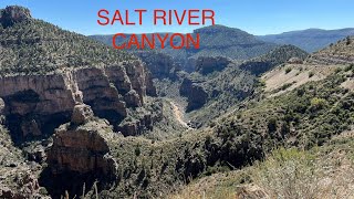 Ride With Us to Salt River CanyonThe Lions Den in Pinetop AZ [upl. by Candyce]