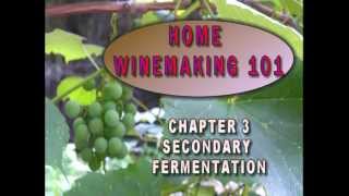 331 0003 Winemaking 101 Secondary Fermentation [upl. by Miru558]