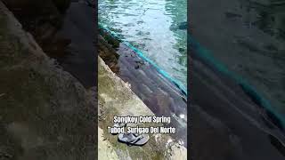 Songkoy Cold Spring  Tubod Surigao Del Norte Philippines  Crystal Clear Water [upl. by Hannazus]