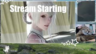 NieR Replicant Part 20  More sadness 3rd Playthrough  towards Ending C [upl. by Dnalon]