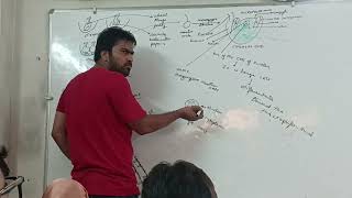 Topic  The Pistil Ovum And Embryo Sac 7112024 Ch1 Bio class by Yogesh Bisht sir [upl. by Gewirtz]