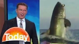 Aussie TV hosts hilarious reaction to shark footage [upl. by Aseela]