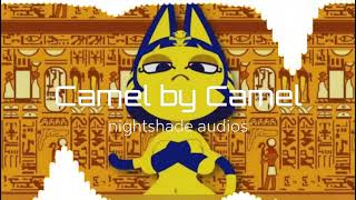 CAMEL BY CAMEL AUDIO EDIT [upl. by Nnairak]