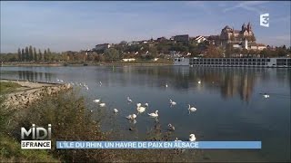 Lîle du Rhin  un havre de paix en Alsace [upl. by Sarge761]