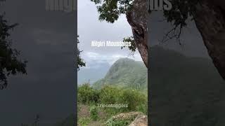 Explore Nilgiri Mountains [upl. by Cira]