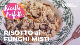 RISOTTO ai FUNGHI MISTI🍄🍂 RISULTATO CREMOSO e SAPORITO😍 [upl. by Eimilb427]