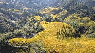 Longsheng Rice Terraces Longji  China [upl. by Ativoj]