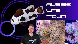 Australian Marine Aquarium Tour [upl. by Dachia]