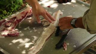 Bighead Carp Bowfishing and Recipe 2010 Pt 2 [upl. by Anglo]