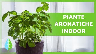 10 PIANTE AROMATICHE INDOOR 🌿 Usi e cure [upl. by Nangem240]