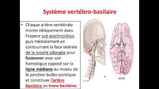 Vascularisation artérielle du cerveau [upl. by Ehcnalb]