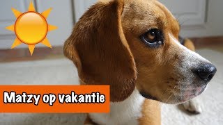 Britt en Matzy op vakantie  DierenpraatTV [upl. by Cherilynn]