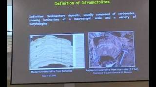 Lecture on Stromatolites part I [upl. by Nesto]