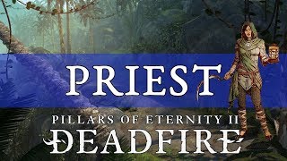 Pillars of Eternity 2 Deadfire Guide Priest [upl. by Terhune]