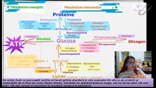 Glande II  Efectele glandelor pe metabolism MaterieAdmitereMedicina ​  meditatiimedicinaro [upl. by Notled]