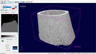 Creating 3D video in CTVox  MicroCT [upl. by Sueddaht949]