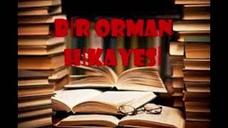 BİR ORMAN HİKAYESİ  Sabahattin Ali Hikayeleri [upl. by Brenna]