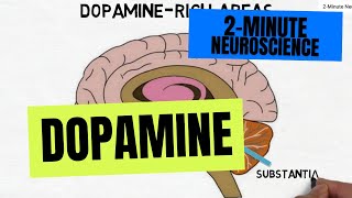 2Minute Neuroscience Dopamine [upl. by Alaehcim]