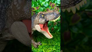 Brown T Rex Vs Black T Rex Roar dinosaurs [upl. by Amice]