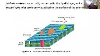 Biological Membranes I Structure and Function [upl. by Tyika386]