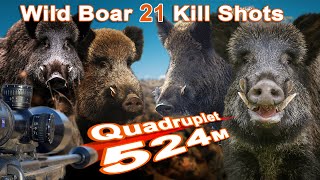 Wild Boar Hunting Shots Compilation  Compilation de tir au Sanglier 2022 [upl. by Namajneb615]