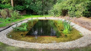 Natural Swimming Pond  Pool Build 2023 [upl. by Bret]