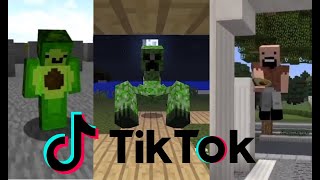 Avocados From Mexico 🥑⛏ Minecraft TIK TOK Compilation [upl. by Brita287]