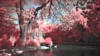 HD The River Beautiful Chillstep Mix By Ni12 [upl. by Freemon]