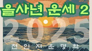 을사년 운세 2편  지지로 운세 보는법 [upl. by Carrillo541]